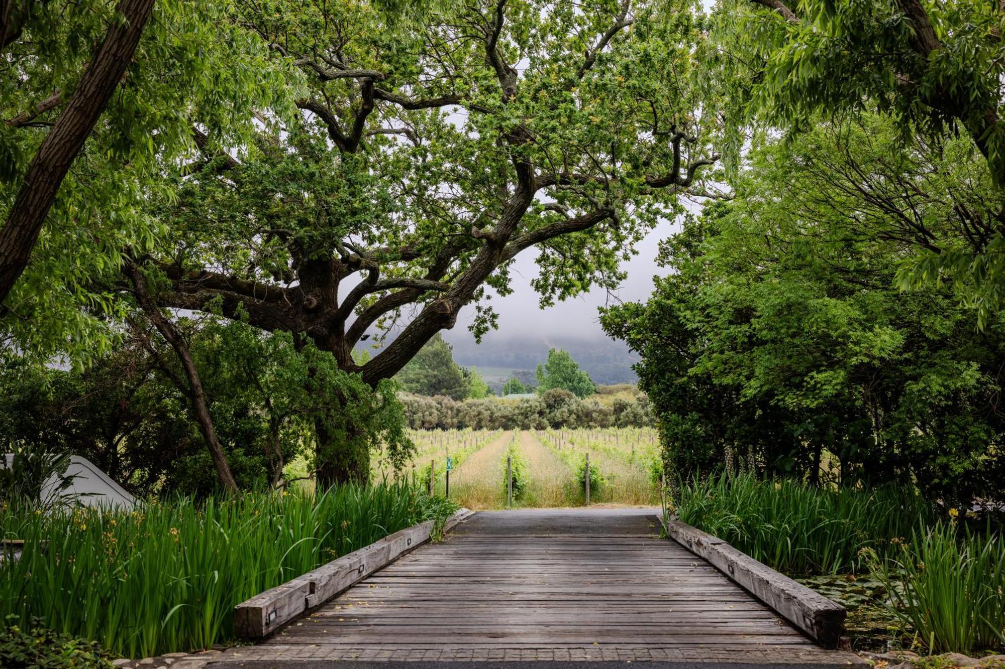Hotel Grande Provence Franschhoek Exteriér fotografie