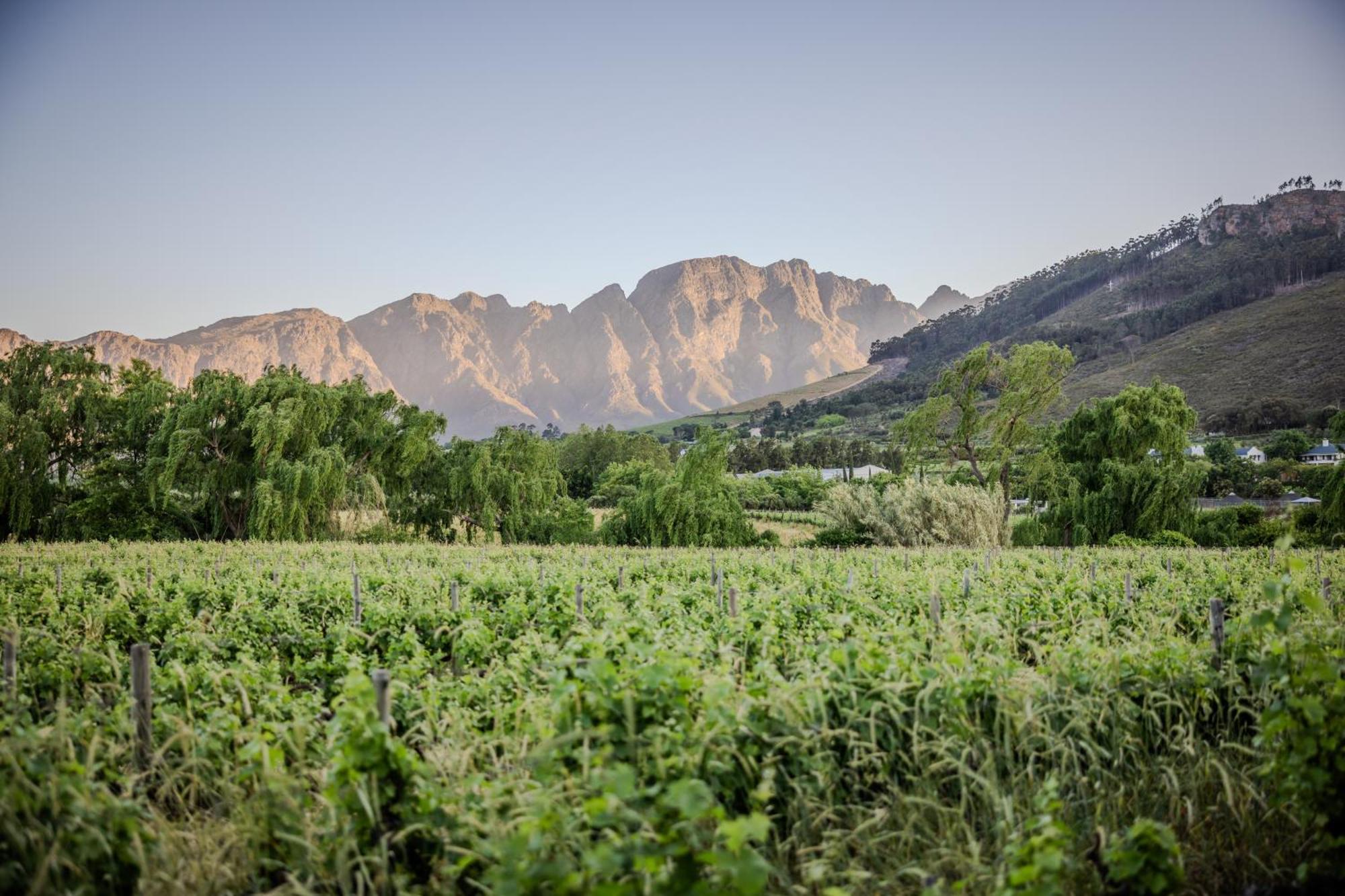 Hotel Grande Provence Franschhoek Exteriér fotografie